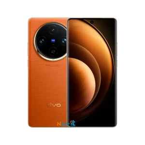 Vivo X100